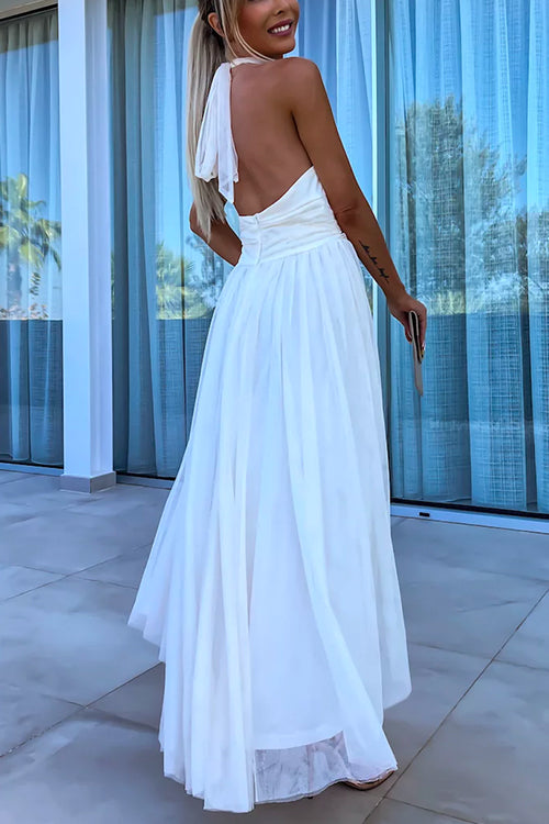 Halter Backless Waisted Tulle Maxi Dress