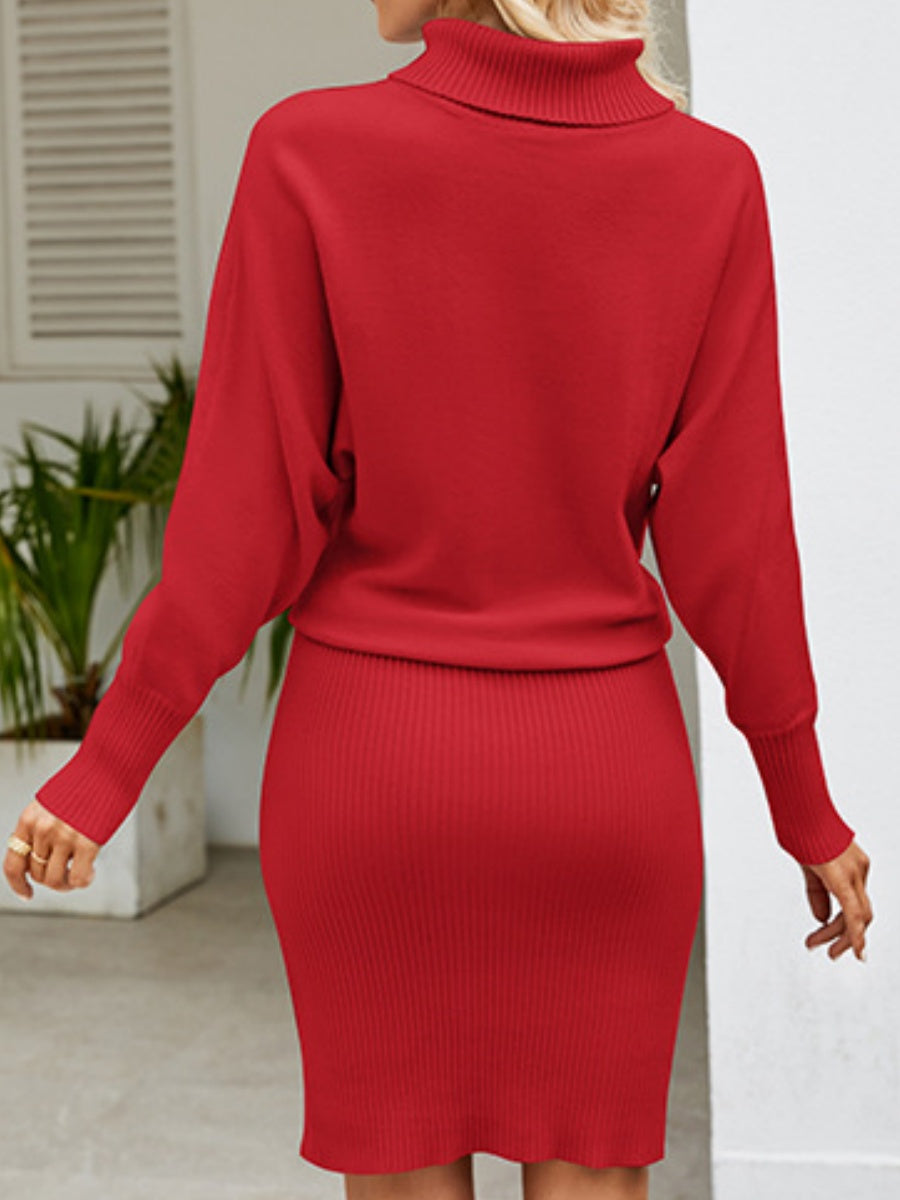 Knitting Turtleneck Jacquard Long Sleeve Mini&Short Dresses