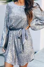 Sequin Long Sleeve Crew Neck Velvet Tie Waist Mini Dress