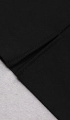Stretch Long Sleeves Feather Mini Dress in Black