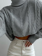 Solid Cable Knit High Neck Sweater