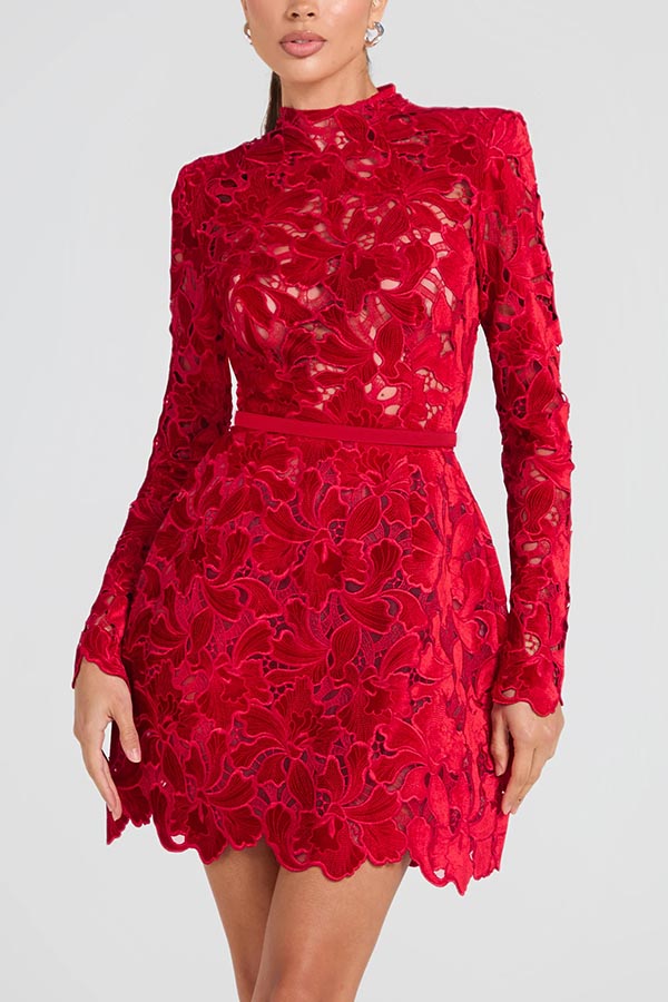 Burnout Velvet Floral Lace Mock Neck Long Sleeve Bodycon Mini Dress