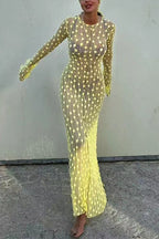 Crewneck Bell Long Sleeves Polka Dot Tulle Cover Up Maxi Dress