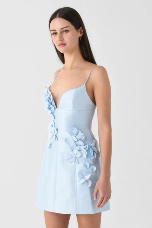 Floral Appliqué Sweetheart Neck Plunging V-Neck Spaghetti Strap Princess Seam Mini Dress