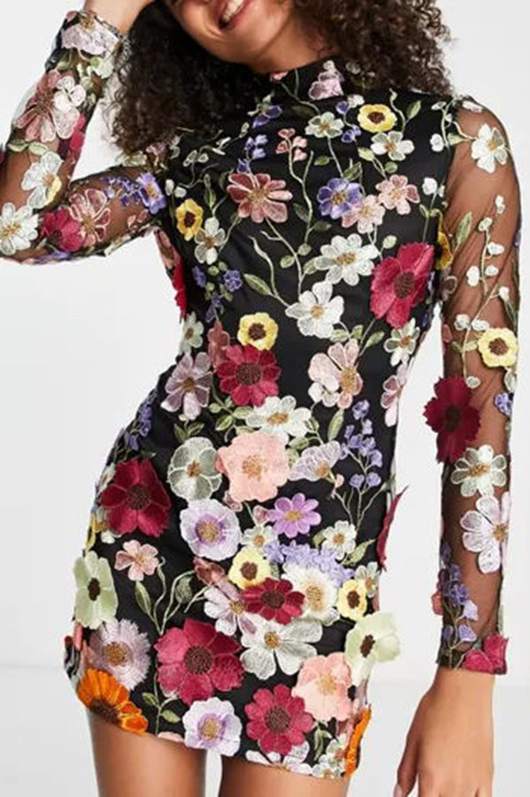 Mock Neck Long Sleeve Sheer Mesh 3D Floral Applique Mini Dress