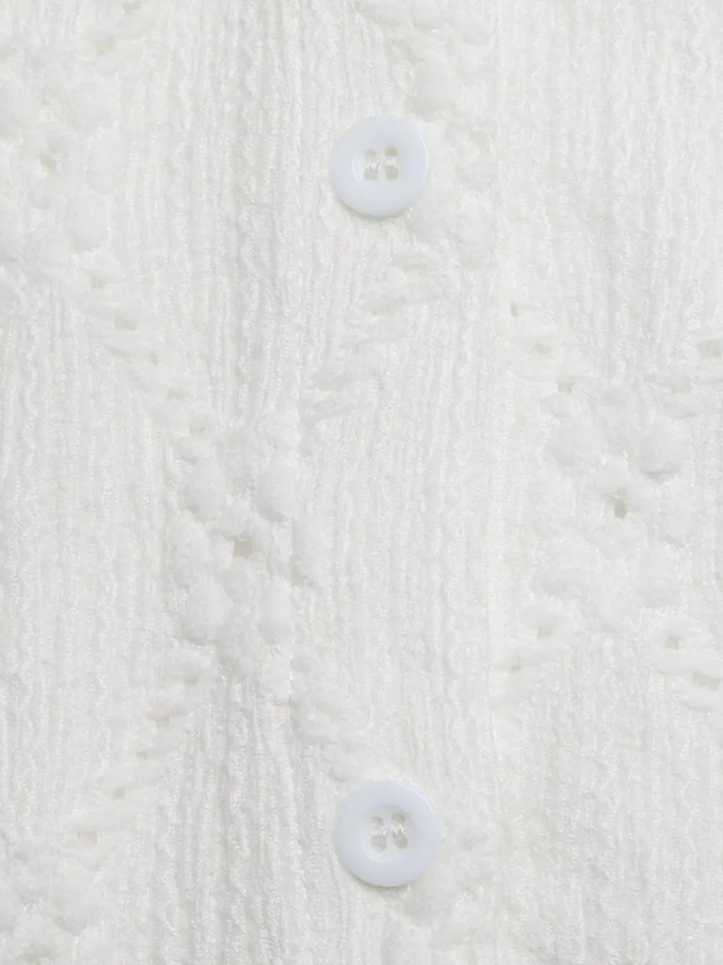 Lace Detail Ruffle Sleeve Button Up Shirt