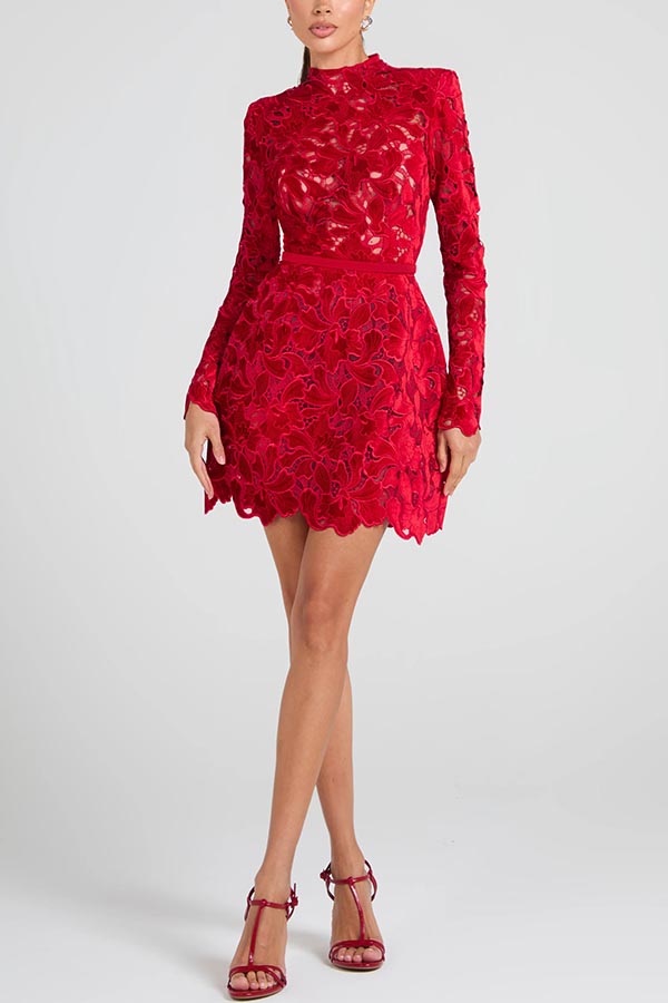 Burnout Velvet Floral Lace Mock Neck Long Sleeve Bodycon Mini Dress