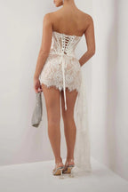Strapless Lace Corset Sheer Panel Mini Dress