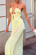 Island Muse Sheer Draped Cutout Maxi Dress