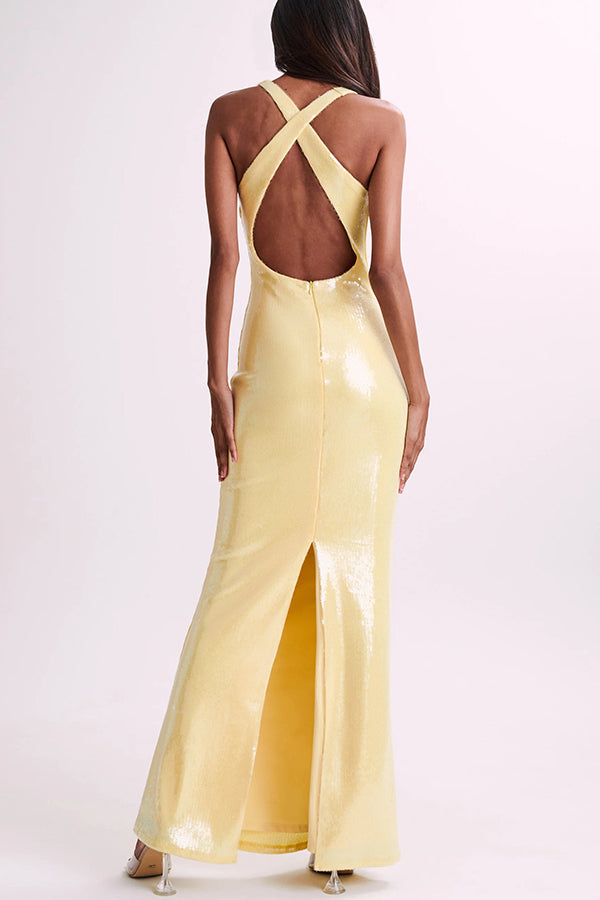 Sequin Deep V-Neck 3D Floral Applique Bodycon Maxi Gown