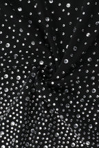 Cami Rhinestone Sleeve Bodycon Party Dress
