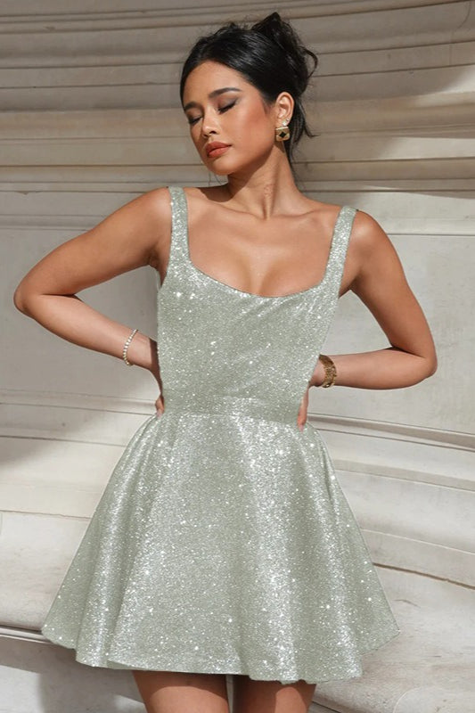 Glitter Scoop Neck Sleeveless Fit and Flare Mini Dress