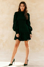 Pullover Long Sleeve Crew Neck Mini Dress