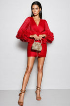 Kani V-Neck Petal Sleeve Mini Dress