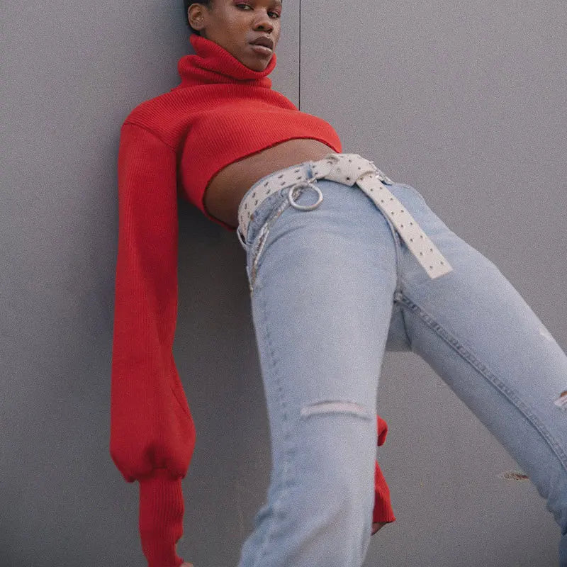 Trendy Casual Loose Sexy Fashionable Solid TurtleNeck Long Sleeve Knit Crop Sweater