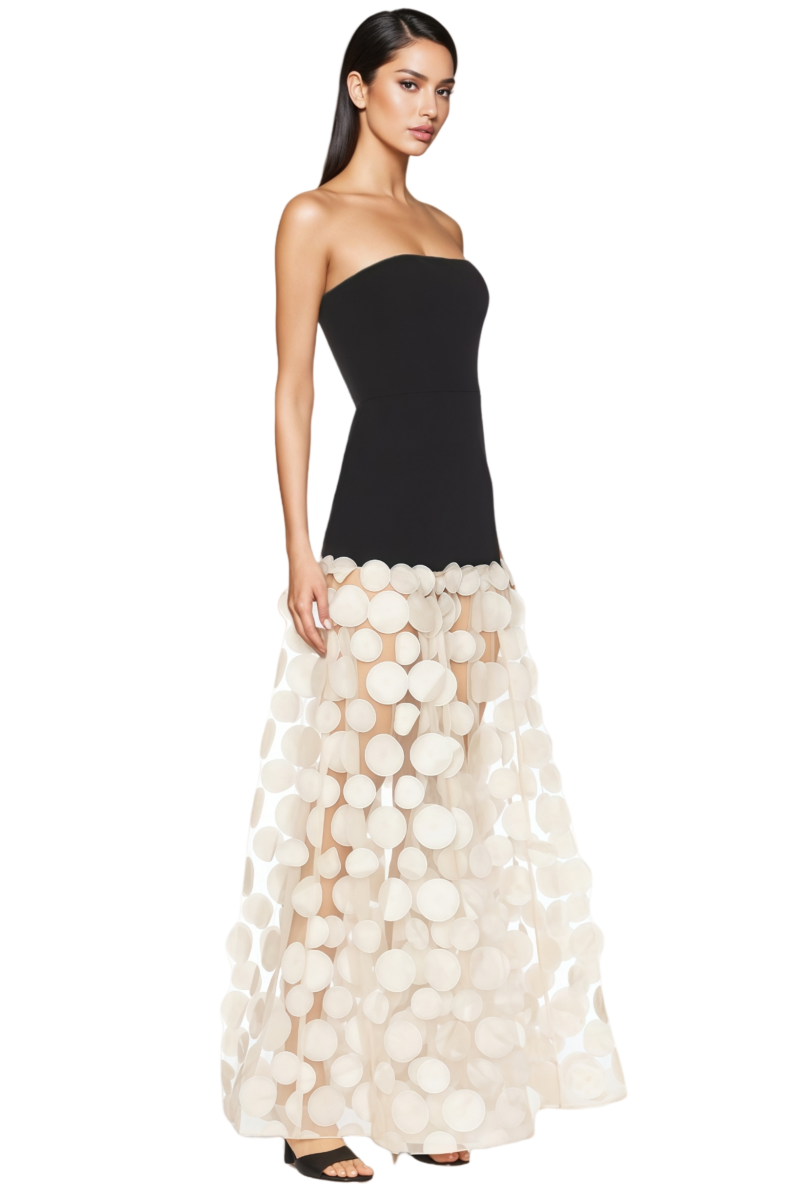 Hrinna Beige Polka Dot Mesh Maxi Dress