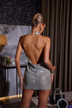 Rhinestone Mesh Halter Butterfly Applique Bodycon Mini Dress