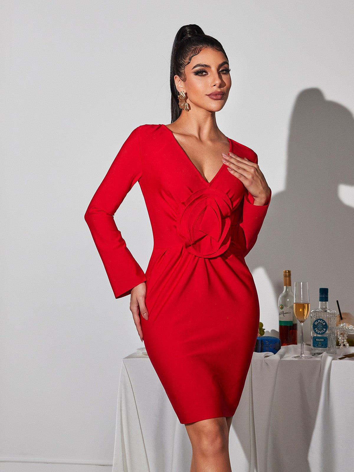 Deep V-Neck Long Sleeve 3D Applique Bodycon Mini Dress