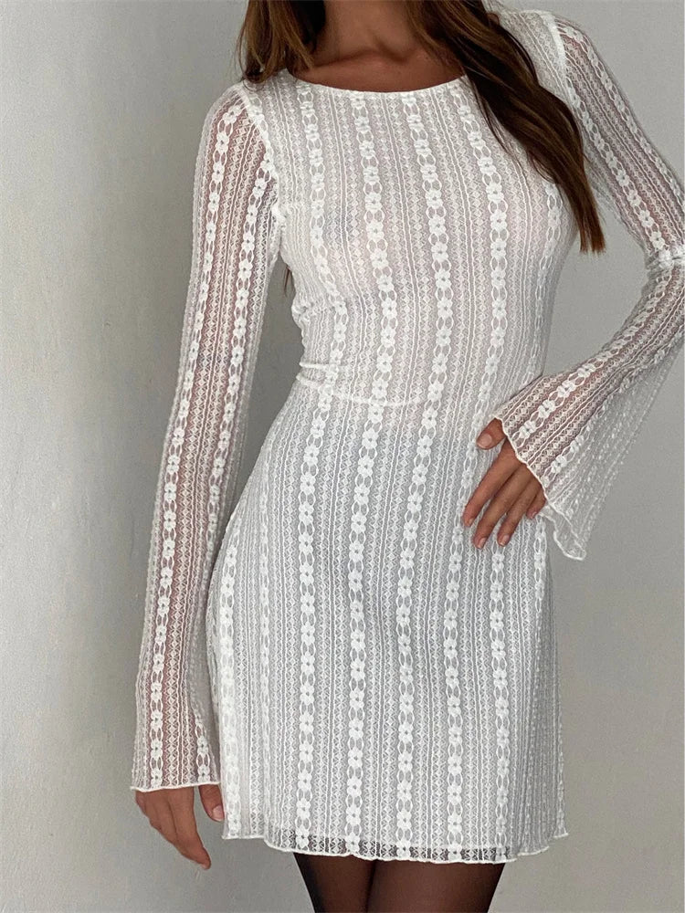 Lace Long Sleeve Vertical Stripe Floral Mini Dress