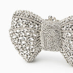 Isabella Silver Clutch Bag