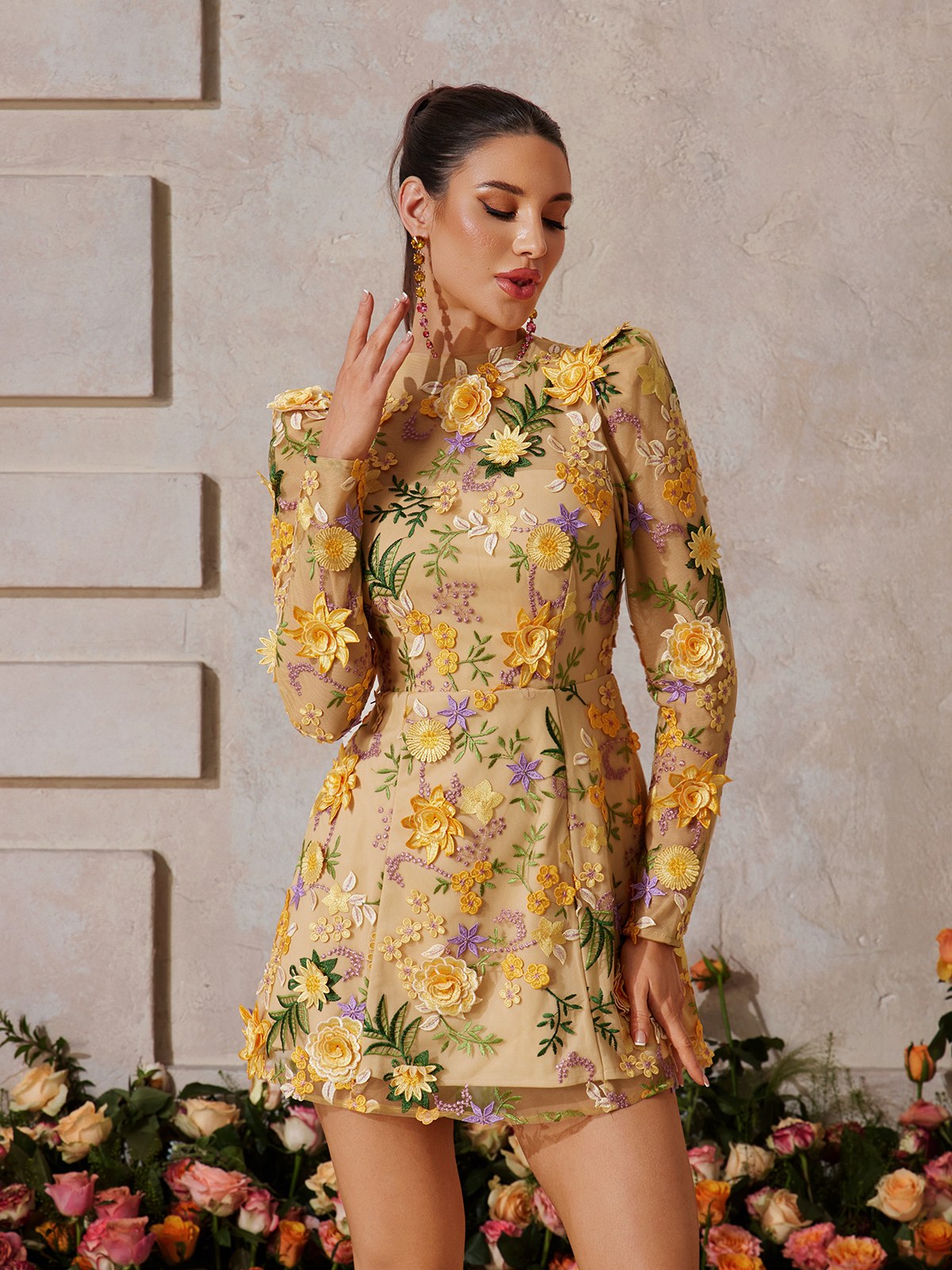 3D Floral Applique Mesh Long Sleeve Crew Neck Mini Dress