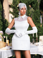 Pearl Collar Mesh Panel Structured Sleeveless Mini Dress