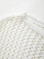 Hollow Out Crochet Long Sleeve Knit Top
