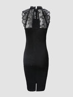 Glitter Mesh Lace Yoke Sleeveless Bodycon Knee Length Dress