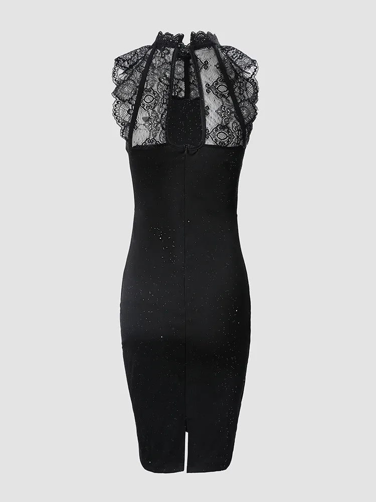 Glitter Mesh Lace Yoke Sleeveless Bodycon Knee Length Dress