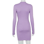 Irmina Aesthetic Turtleneck Dress for Women Statement Occasion Edit