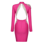 Crystal Fringe Open Back Mock Neck Long Sleeve Bodycon Dress