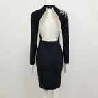 Crystal Fringe Open Back Mock Neck Long Sleeve Bodycon Dress