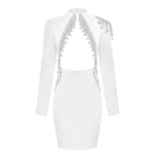 Crystal Fringe Open Back Mock Neck Long Sleeve Bodycon Dress