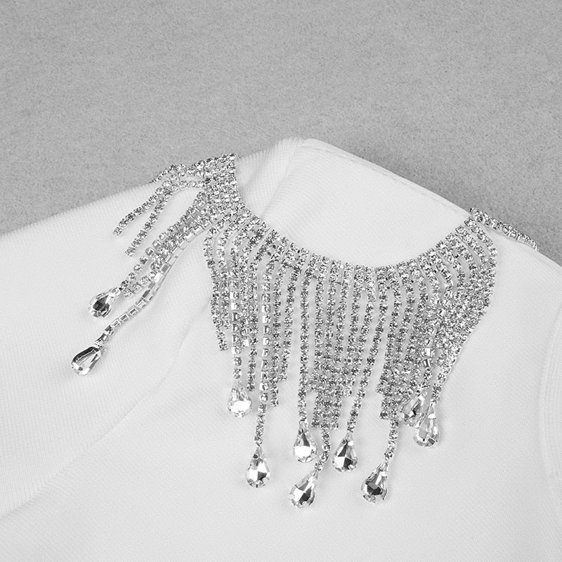 Crystal Fringe Open Back Mock Neck Long Sleeve Bodycon Dress