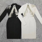 Crystal Fringe Open Back Mock Neck Long Sleeve Bodycon Dress