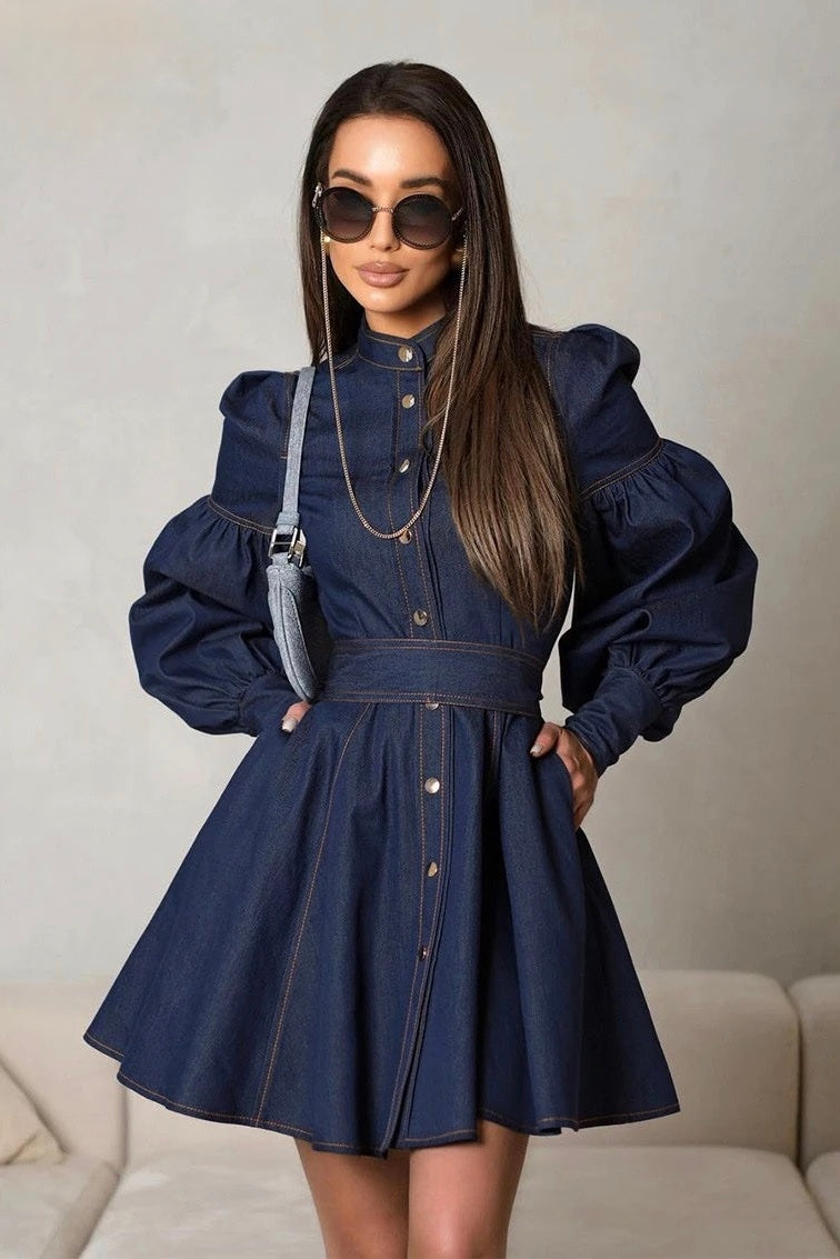 Mandarin Collar Button Front Puff Sleeve Cinched Waist Denim Mini Dress