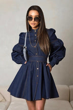 Mandarin Collar Button Front Puff Sleeve Cinched Waist Denim Mini Dress