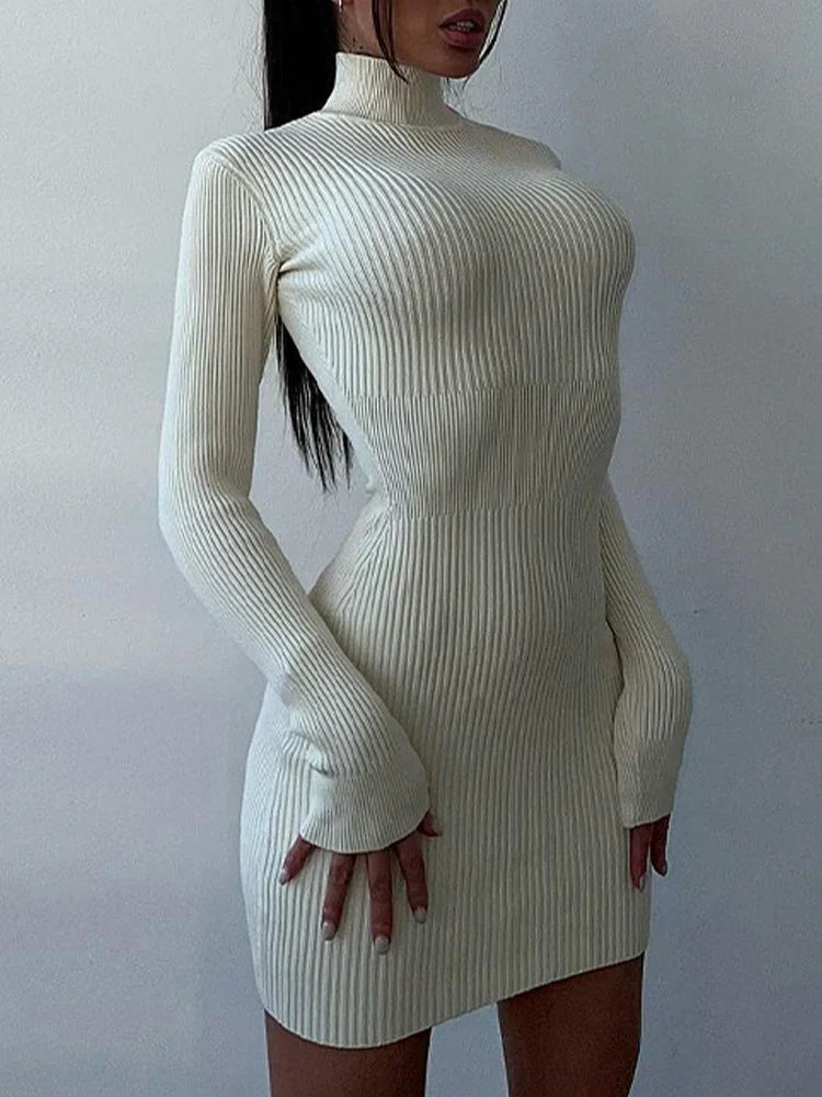 Rib Knit Mock Neck Long Sleeve Bodycon Midi Dress