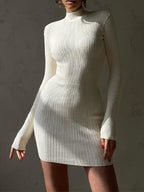 Rib Knit Mock Neck Long Sleeve Bodycon Midi Dress