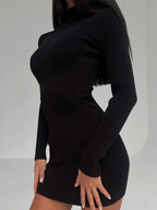 Rib Knit Mock Neck Long Sleeve Bodycon Midi Dress