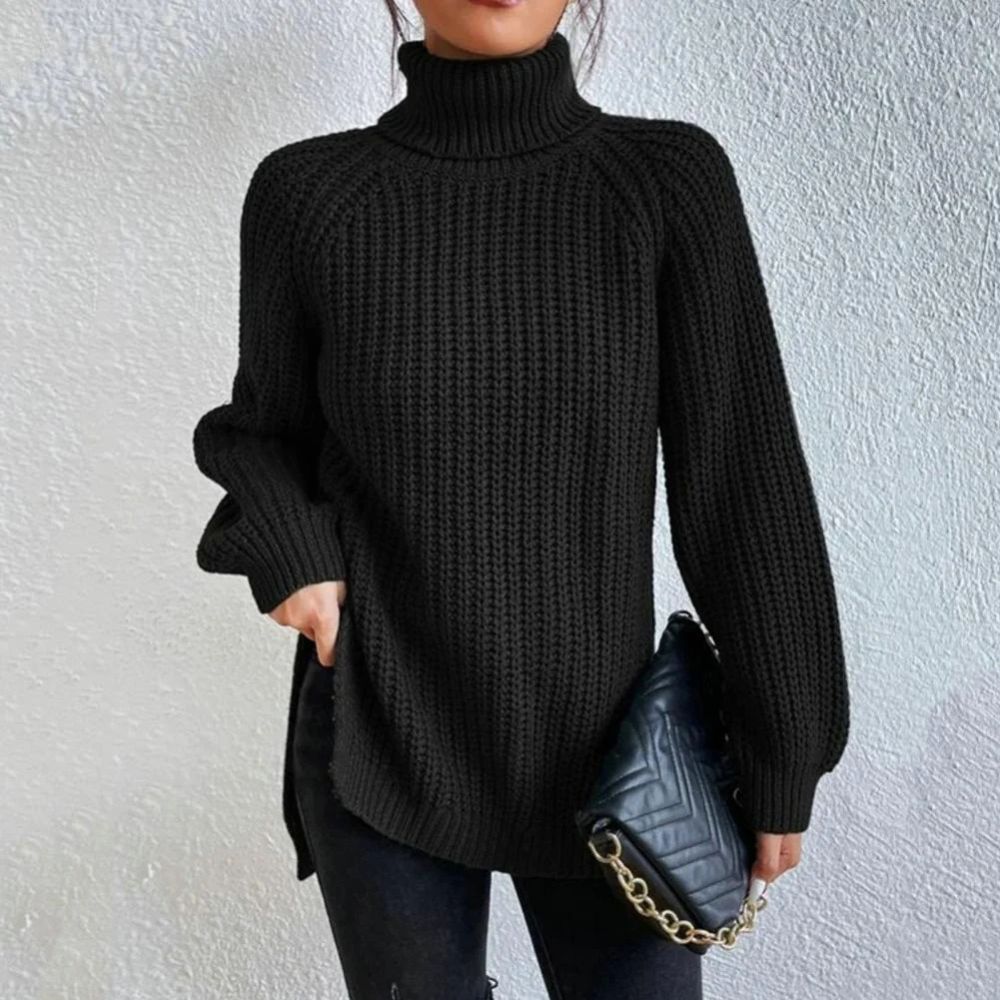 | Elegant turtleneck sweater