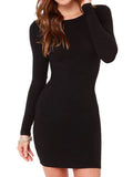 Long Sleeve Crew Neck Bodycon Mini Dress