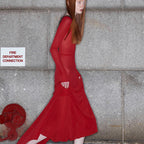 Mesh Long Sleeve Lace Up Open Back Maxi Dress