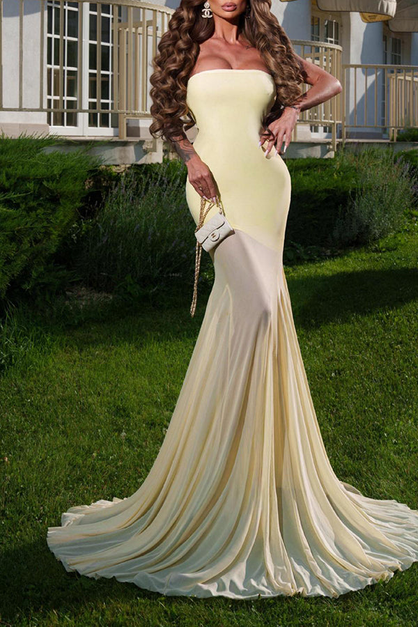 Solid Color Sleeveless Off-shoulder Mesh-paneled Fitted Maxi Dress