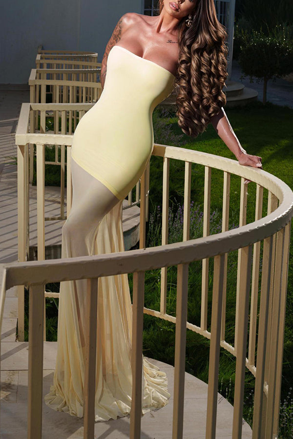 Solid Color Sleeveless Off-shoulder Mesh-paneled Fitted Maxi Dress