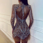 Beaded Mesh Mock Neck Open Back Fringe Trim Baroque Embellished Mini Dress