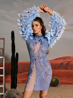 Feather Sleeve Beaded Rhinestone Mesh Illusion Neck Bodycon Mini Dress