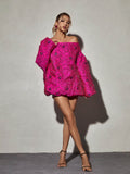 Ravina Long Sleeve Jacquard Mini Dress