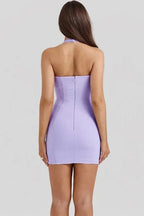 Slim Backless Deep V Neck Sleeveless Mini Dress