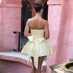 Pearl Trim Neckline Princess Seam Oversized Bow Back Fit and Flare Mini Dress